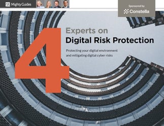 Constella-Digital-Risk-Protection-ebook-thumb