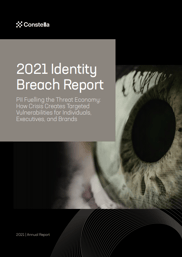 Constella-2021-Identity-Breach-Report_thumb